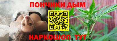 гашик Будённовск