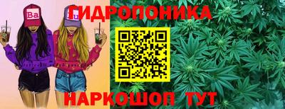гашик Будённовск
