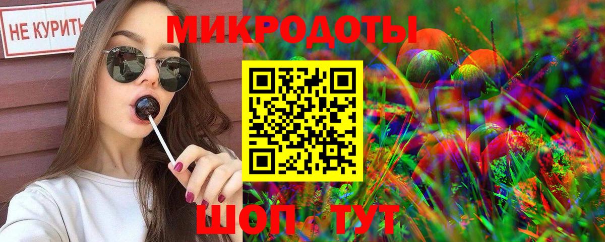 Псилоцибиновые грибы Psilocybine cubensis Усинск