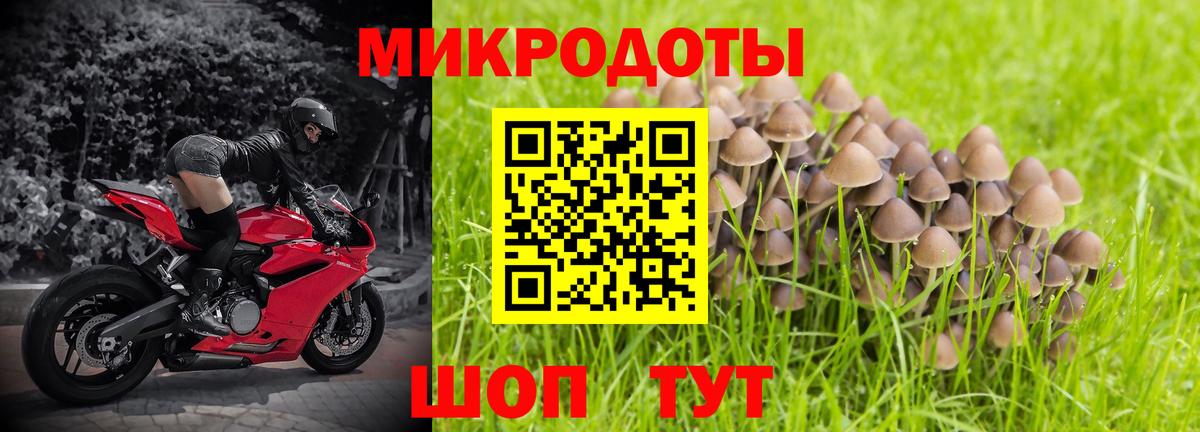 Усинск  Галлюциногенные грибы Psilocybe  Вход с VPN  Галлюциногенные грибы мухоморы 